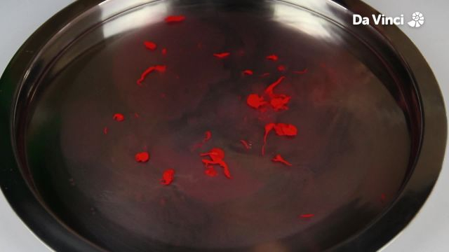 Make a Moving Picture