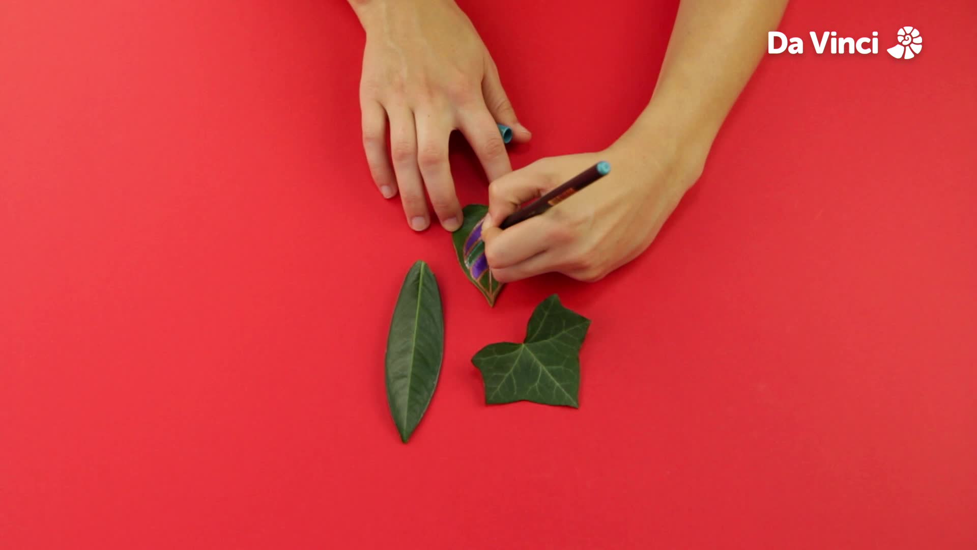 Try Out Leaf Art