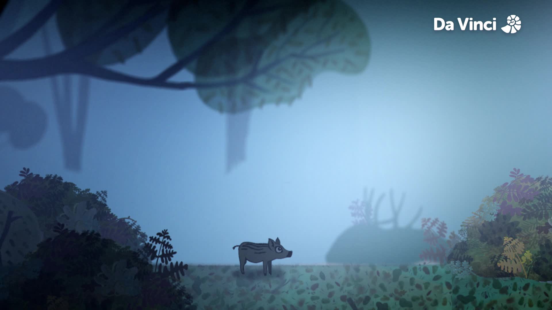 Wild Boars