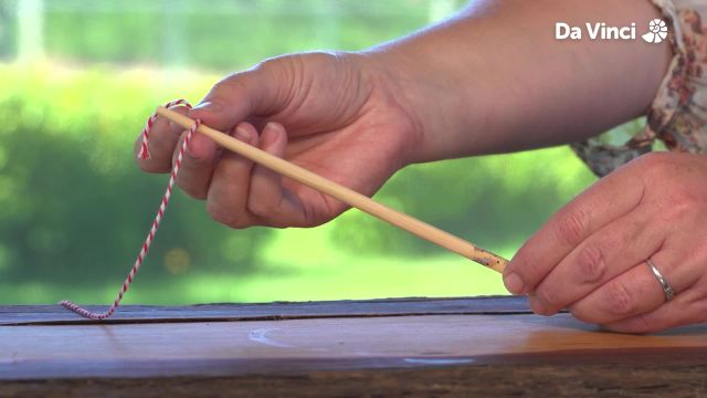 Newts - The Snail Chase