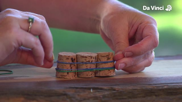 Newts - Sinking and Floating