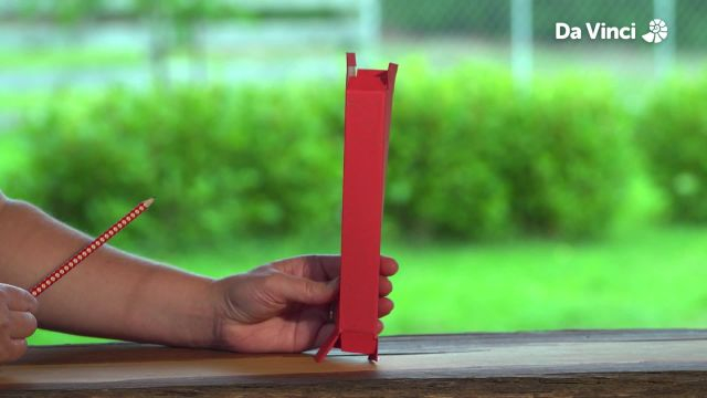 Newts - Periscope Bird Watching