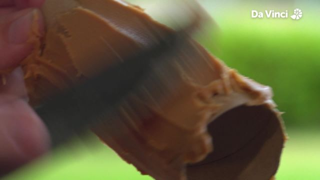 Newts - Plants come from Seeds