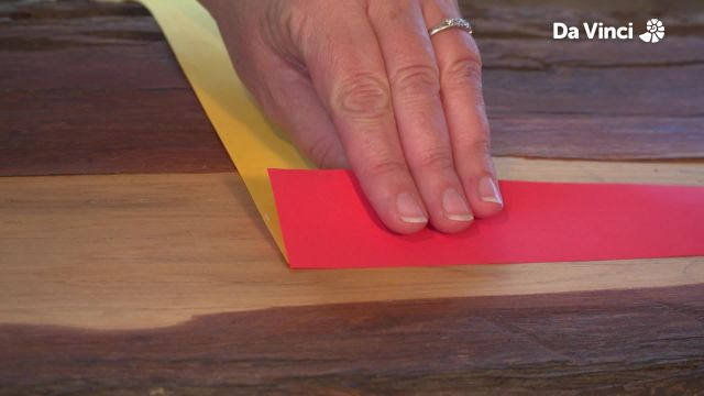 Newts - Forest Eco-System