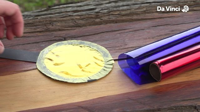 Newts - Colours of Nature