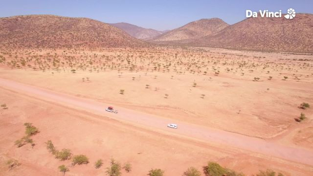 Lion of the Mountain: Puma