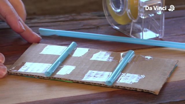 Newts - Balloon Cars