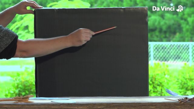 Newts - Bubbletastic