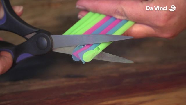 Newts - Bubbletastic