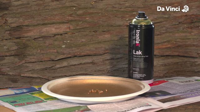 Newts - Crystals and Gold