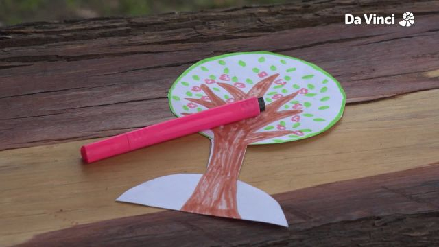 Newts - Trees and their Seasons