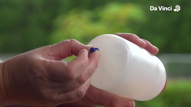 Newts - Garden Emergency