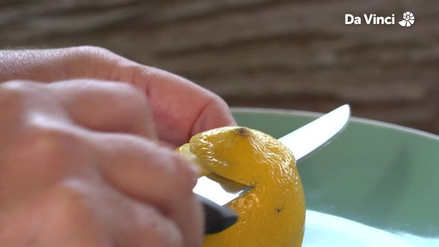 Newts - Lemon Experiments