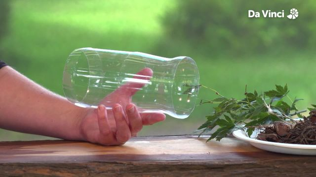 Newts - Thunder and Lightning