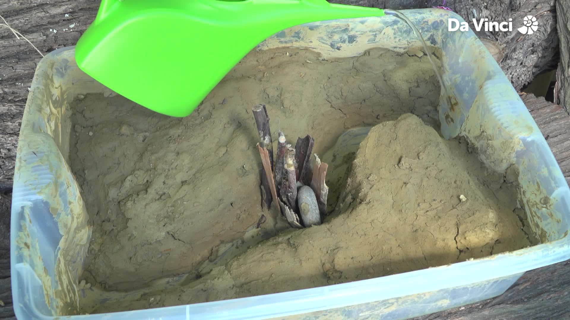 Darwin - Frogs Need Water