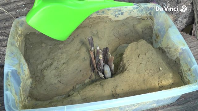 Darwin - Frogs Need Water