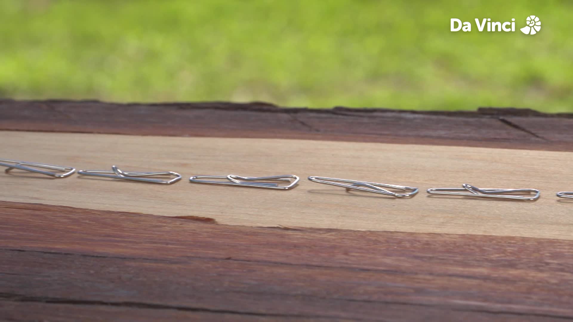 Darwin - Magnets Attract Metal
