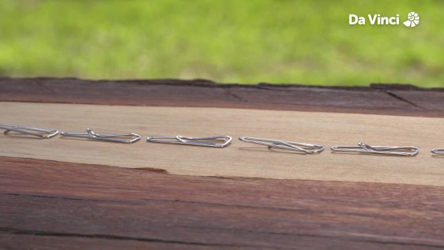 Darwin - Magnets Attract Metal