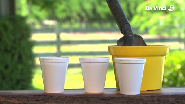 Darwin - How Plants Grow