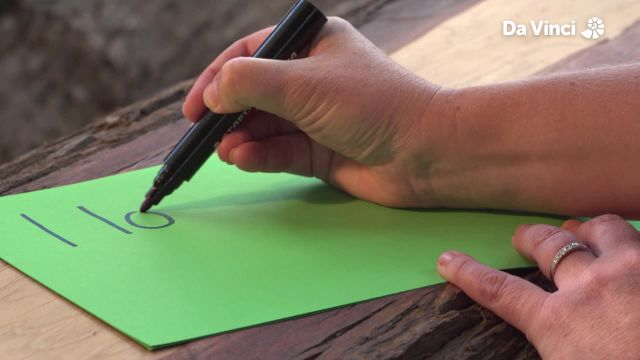 Darwin - Periscope Bird Watching