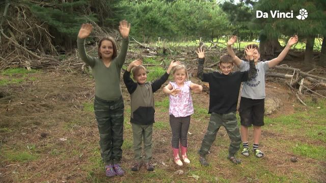 Darwin - Hiding and Seeking