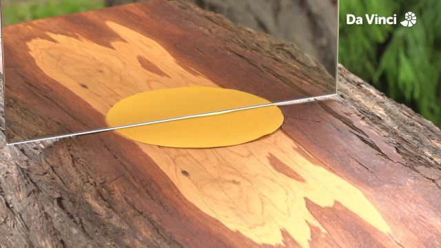 Darwin - Monarch Butterfly