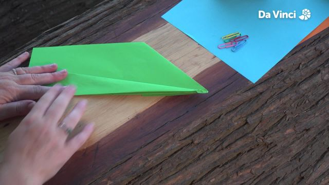 Darwin - How Birds Fly