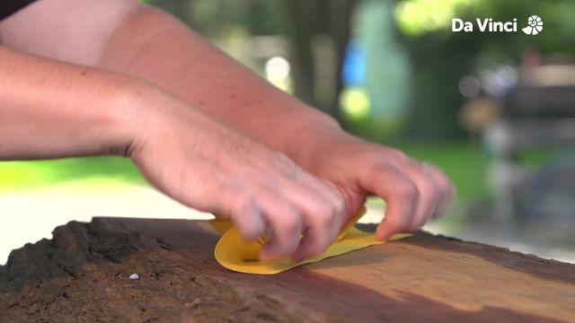 Darwin - Forest Eco-system