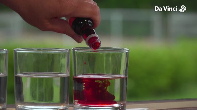 Darwin - Colours of the Natural World