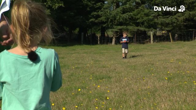 Darwin - Noisey Newts