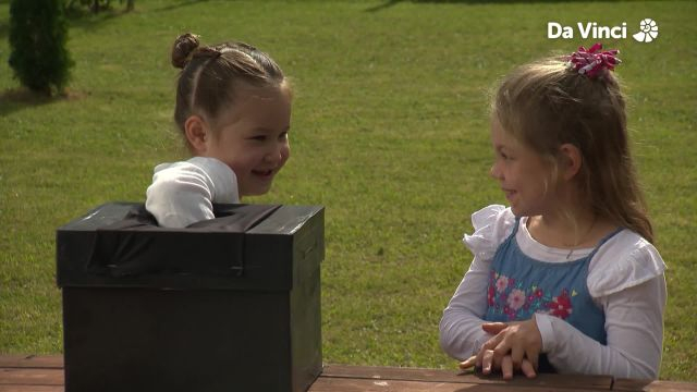 Darwin - Five Senses