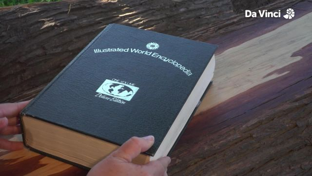 Darwin - Trees and their Seasons