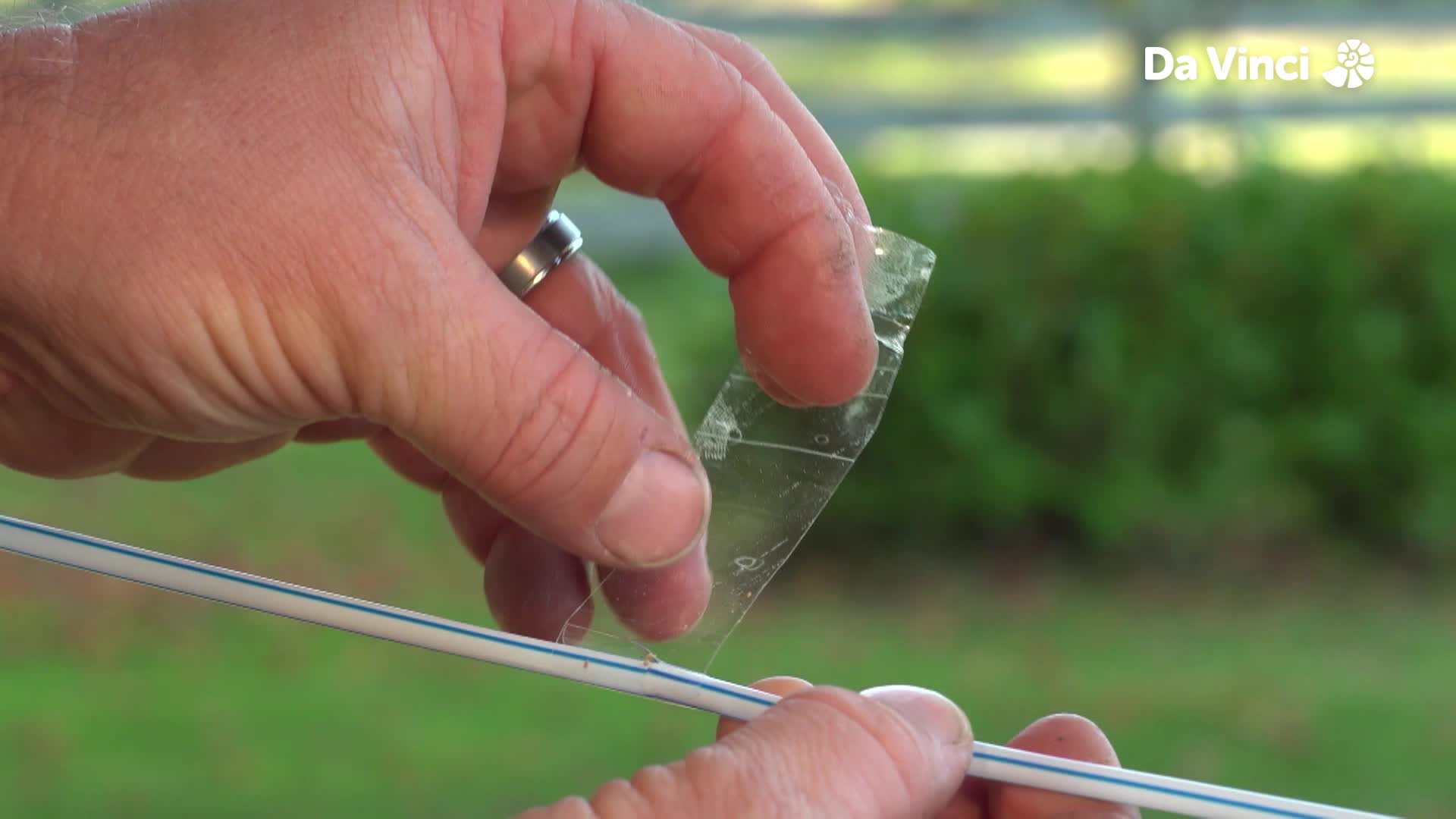 Darwin - Garden Emergency