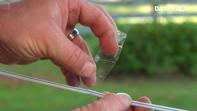 Darwin - Garden Emergency