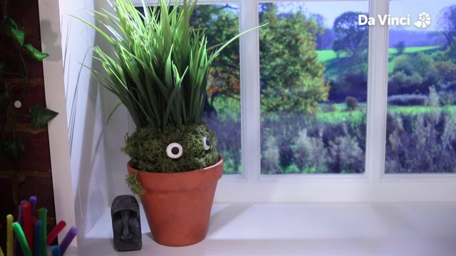 رأس مخروطي مجنون