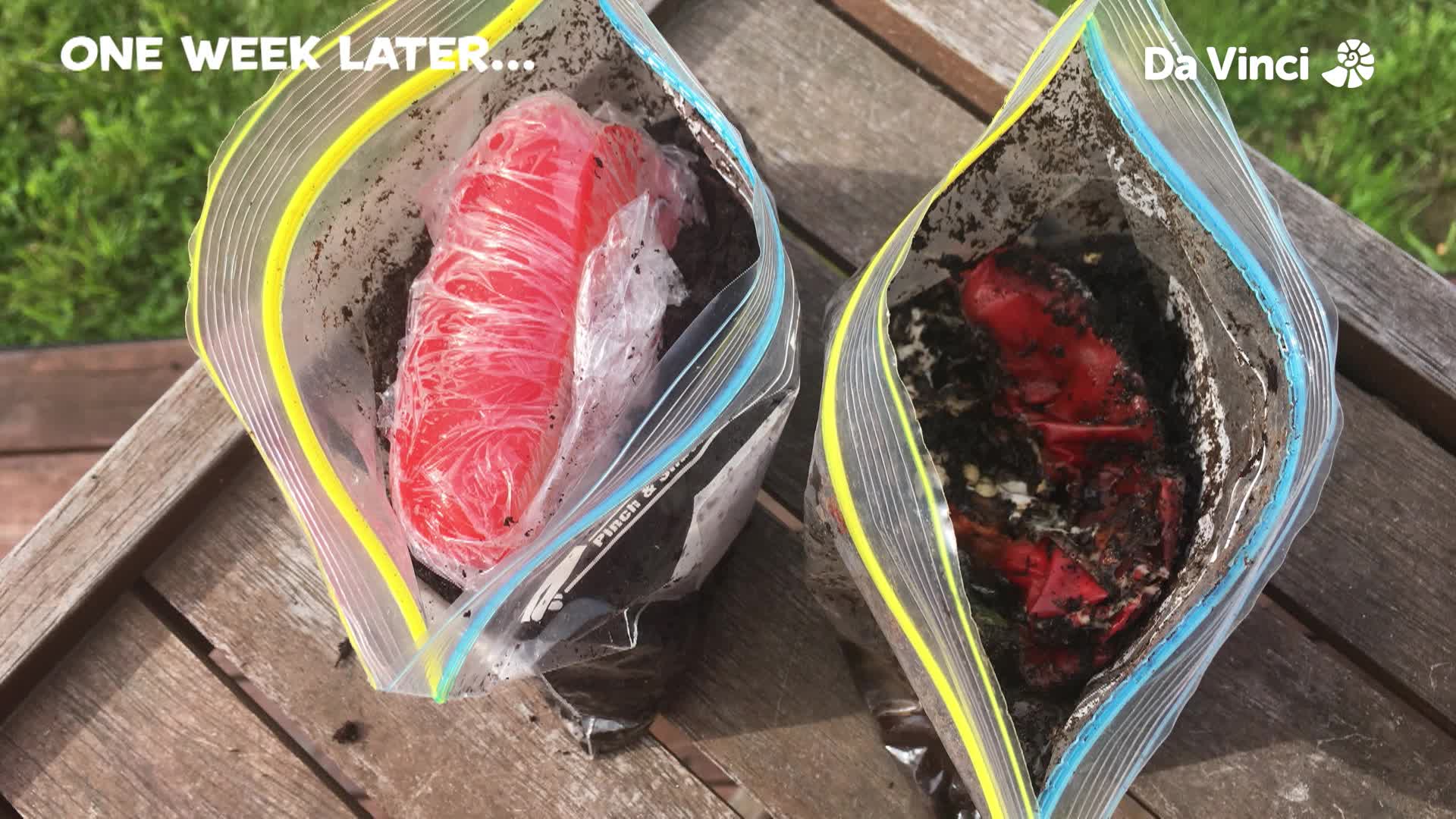 Bluey and the Plastic Bags